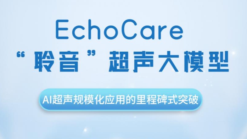 一文读懂！